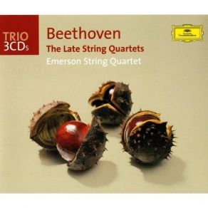 Download track 1. Quartet Nr. 15 A-Moll Op. 132 - 1. Assai Sostenuto - Allegro Ludwig Van Beethoven