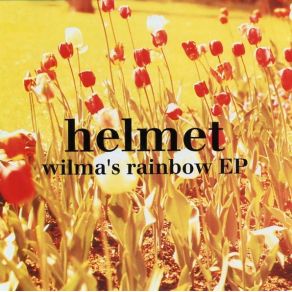 Download track Wilma'S Rainbow Helmet