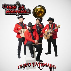 Download track La Tanga Chirimba (Version Con Bajo) La Bestia NortenaVersion