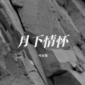 Download track 何以情深 弓长张