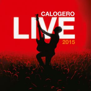 Download track Introduction: Les Feux D'artifice (Live Bruxelles, Belgique / 2015) Calogero