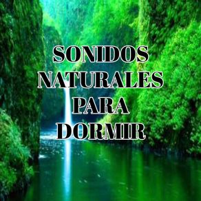 Download track Naturaleza Sonidos Naturales