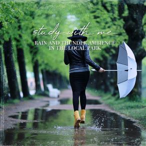 Download track Rain And Thunder Ambience In The Local Park, Pt. 1 Sebastian Riegl