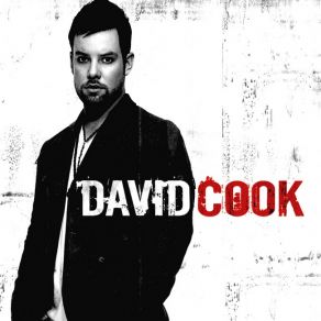 Download track I Did It For You David Cook