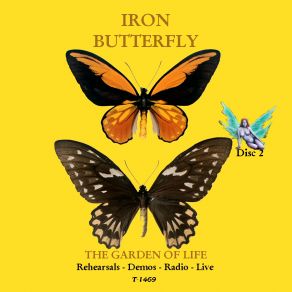 Download track Opening Intro Iron Butterfly