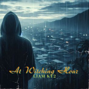 Download track Nocturnal Network Liam Ky2