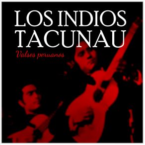 Download track DOS AÑOS Los Indios Tacunau