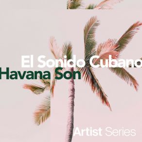 Download track La Negra Santa Havana Son