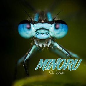 Download track CU Soon (Alchemix Remix) Minoru