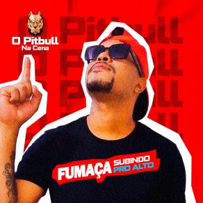 Download track Toda Princesinha O PITBULL NA CENAMc Vitorioso