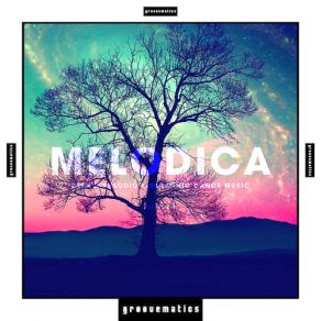 Download track NY Xpress (Cordoba Remix) MelodicaAudio Noir