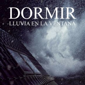 Download track Dormir Con Lluvia En La Ventana, Pt. 30 Lluvia Del Bosque