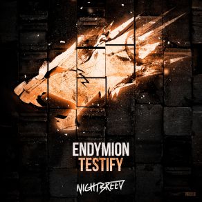 Download track Testify (Radio Edit) Endymion