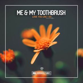 Download track Love You Like I Do (Extended Mix) Me My Toothbrush