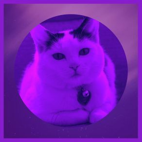 Download track Vivacious Ambiance For Comfy Cats Cat Music Relaxation