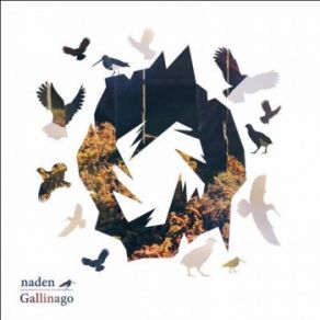 Download track Claddagh (Original Mix) Naden