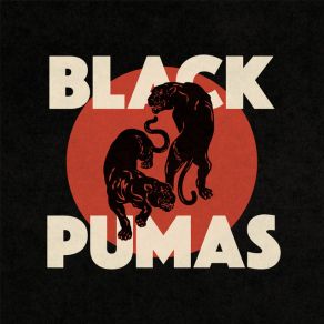 Download track Touch The Sky The Black Pumas