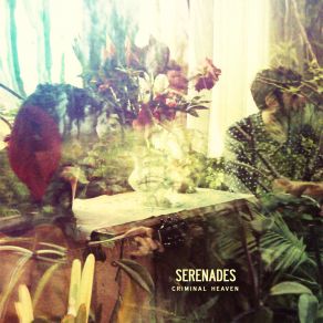 Download track Earthquakes We Are Serenades