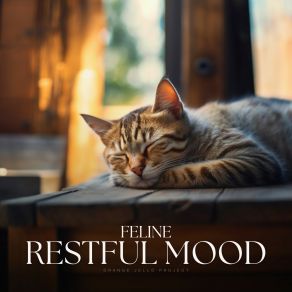 Download track Array Of Building Materials Sleepy Cats