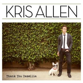 Download track The Vision Of Love (Radio Remix) Kris AllenMaison, Dragen