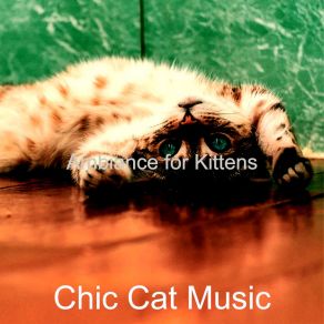 Download track Opulent Resting Cats Chic Cat Music