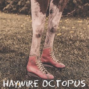 Download track Orange Avenue Haywire Octopus