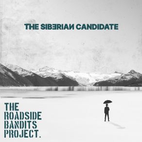 Download track C'Mon The Roadside Bandits Project