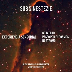 Download track Paseo Por El Cosmos Sub Sinestezie