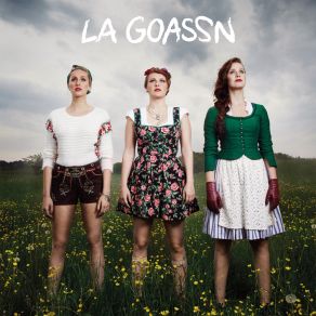 Download track Lass Uns Tanz'n La Goassn