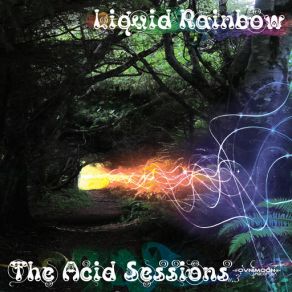 Download track New Year Session Liquid Rainbow