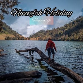 Download track Jetplane Nazeefah Holiday