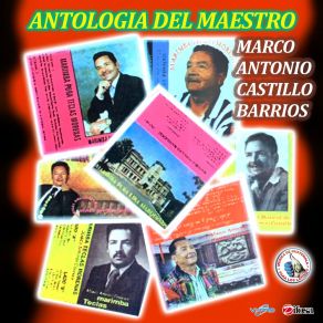 Download track Abajeños Marimba Teclas Morenas