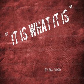 Download track It Is What It Is Bill Flood