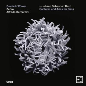 Download track 01 - I. [Aria] -Ich Habe Genung- Johann Sebastian Bach