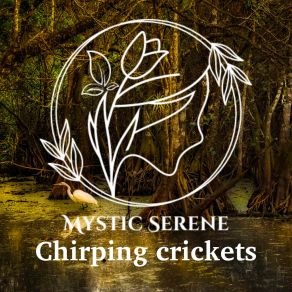 Download track Swamp Night Crickets Cicadas Mystic Serene