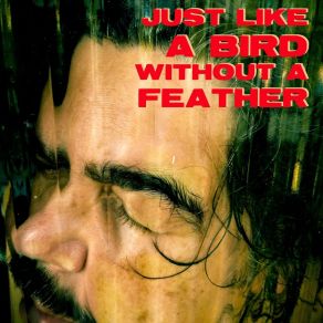 Download track Just Like A Bird Without A Feather Roberto Lessa