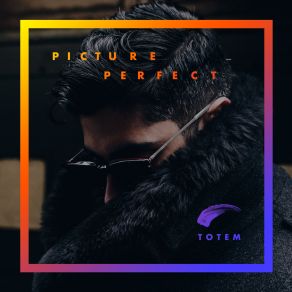 Download track Picture Perfect TOTEM