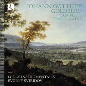 Download track Goldberg Trio Sonata In B Flat Major, DürG 10 IV. Ciacona Evgeny Sviridov, Ludus Instrumentalis