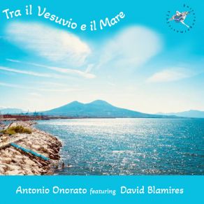 Download track Chi Tene 'o Mare (English Version) David Blamires