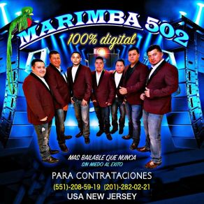 Download track Solo Un Milagrito Marimba 502