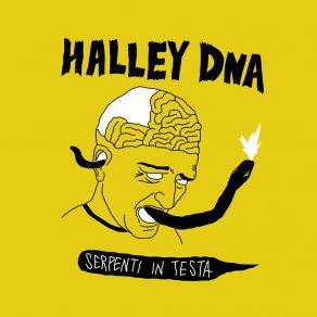 Download track Cambierà? Halley DNA