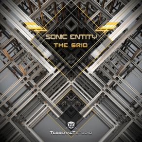 Download track The Grid (Original Mix) Sonic Entity