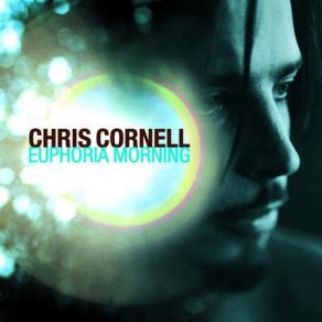 Download track Flutter Girl Chris Cornell