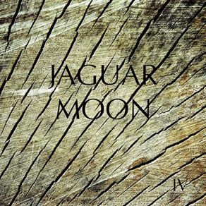 Download track Hardship Jaguar Moon