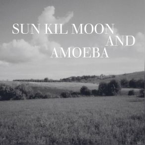 Download track Acacia Tree Sun Kil Moon