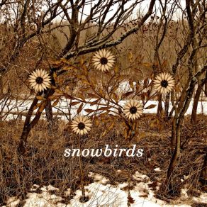 Download track Dirty Streets Of Downtown Snowbirds