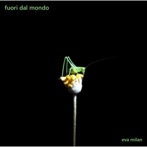 Download track Cose Fuori Dal Mondo Eva Milan