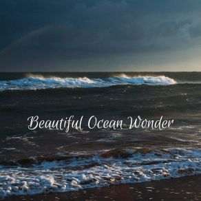 Download track Delightful Day Ocean Waves For Sleep