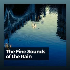 Download track Rain Sounds For Life Rain For Deep Sleep