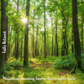 Download track Miraculous Sounding Summer Breeze In The Forest, Pt. 9 Steve Brassel